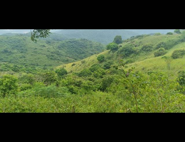 FARM FOR SALE IN MURCHISON